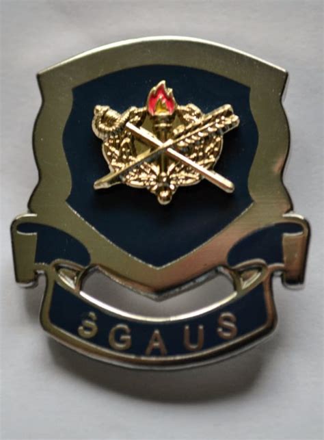 JAG Crest Pin Badge (DUI) - State Guard Association of the United States