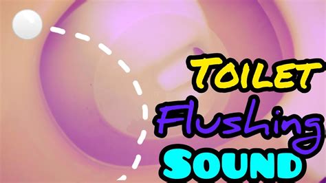 Toilet Flushing Sound • Sound Effects - YouTube