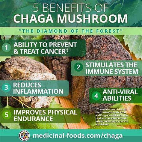 chaga-mushroom-medicinal-benefits-infographic | The Healthy RD