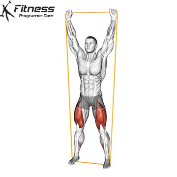 Resistance Band Overhead Squat » Workout Planner