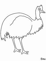 Australia  Emu Coloring Pages Page Book sketch template