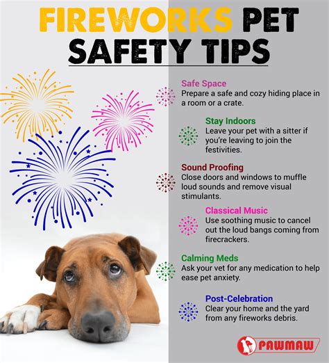 How to Keep Your Pet Safe from Fireworks