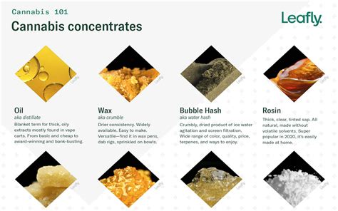 The Roll-Up #153: All about cannabis concentrates | Leafly