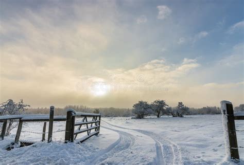 Beautiful Swedish Winter Morning Stock Image - Image of winter, sweden ...