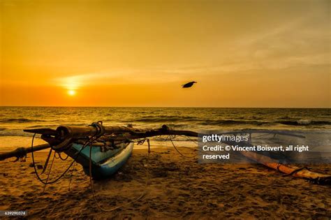 Negombo Beach At Sunset High-Res Stock Photo - Getty Images