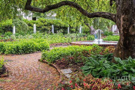 Prescott Park Flower Gardens Portsmouth New Hampshire Photograph by ...