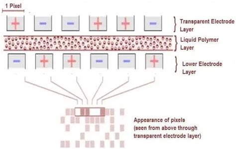 Electronic Paper Display (e-Paper) - How it works, Types, Applications