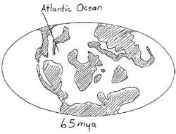 The Paleogene Period - A Transition From the Mesozoic to Cenozoic Era