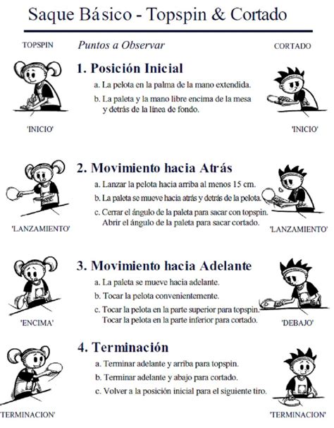 Educación física y algo + : NORMAS Y REGLAS BÁSICAS TENIS DE MESA