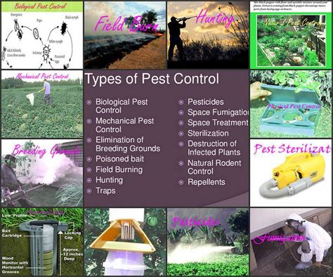 Best and Unique Types of Pest Control | Pest control, Best pest control, Pests