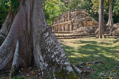 Jungle Ruins : Yaxchilan, Chiapas : Art in Nature Photography