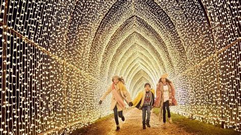 Where you can find Houston's most spectacular winter light shows and events dazzle for the ...