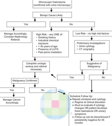 A suggested algorithm for the diagnostic approach to microscopic ...