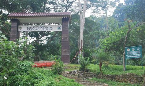 Leuser, Taman Nasional Terbesar di Asia Tenggara | AGARA ONLINE