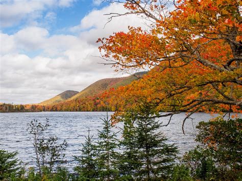 Fall Colours in the Cape Breton Highlands : canada