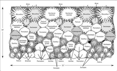 How To Plan A Flower Bed Layout - Draw easy