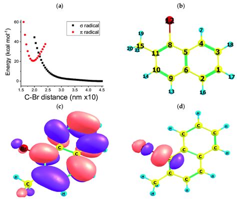 (a) Molecular potential energy of 2 A (σ radical, black squares) and 2 ...