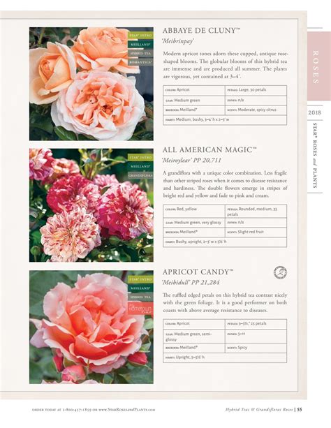 2018 Star® Roses and Plants Catalog by Star® Roses and Plants - Issuu