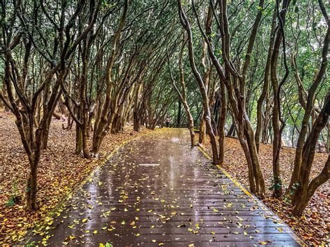 3 Easy Ways to Get to Stunning Hyangiram Hermitage in Yeosu » Travel ...