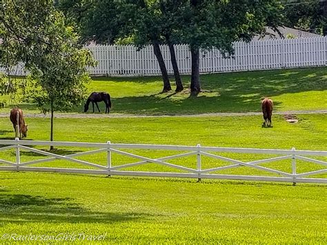 Things to See on the Graceland Tours - RaulersonGirlsTravel