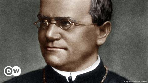 Why is Mendel considered the father of genetics?