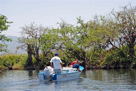 Bird Watching in San Blas, Nayarit - Wander Woman Travel Magazine