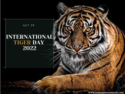 International Tiger Day 2022- History, Significance and Celebration - Remember Animals