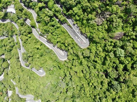 Road to Yercaud Hills stock photo. Image of tree, forest - 280985046