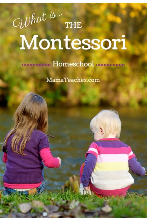 What is the Montessori Method of Homeschooling? | Montessori homeschool, Montessori lessons ...