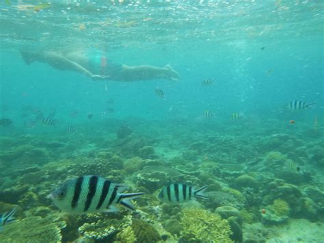 Philepines, Philippines, Palawan, El Nido snorkeling, El Nido (7) | Woody World Packer