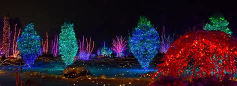 Gardens Aglow: See the Gardens in a whole new light! | Boothbay Register