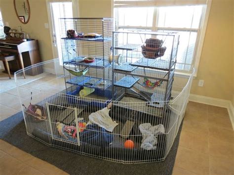 Pin by Jen M on Pets | Ferret cage, Ferret cage diy, Pet ferret