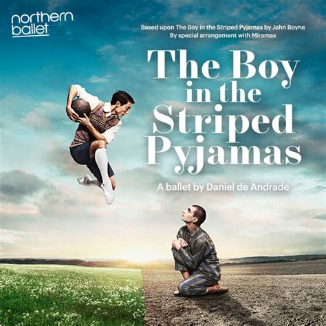 The Boy In The Striped Pyjamas Book Summary - Liberal England: The Boy ...