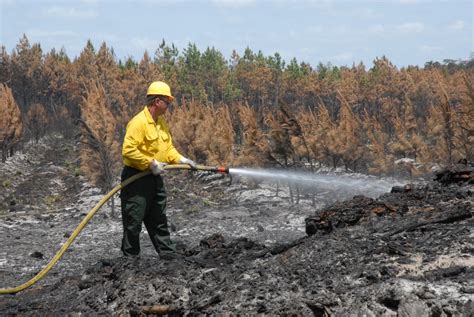 Florida Forest Service highlight Arson Awareness Week | Morning Ag Clips