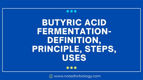 Butyric Acid Fermentation- Definition, Principle, Steps, Uses