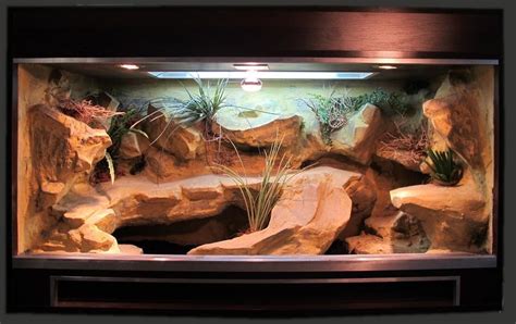 Leopard Gecko Terrarium Decorations | Leopard Gecko Care