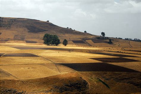 Paysage d'Ethiopie : Éthiopie : Routard.com