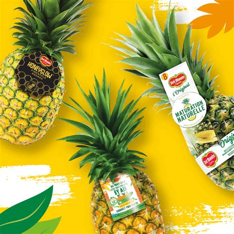 Pineapple monthly review: January 2023