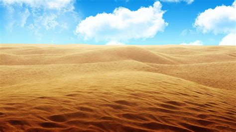 Sahara Desert HD wallpaper | Pxfuel