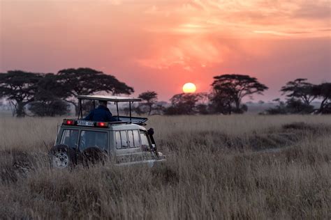 The Best Time To Visit Tanzania — Acanela Expeditions