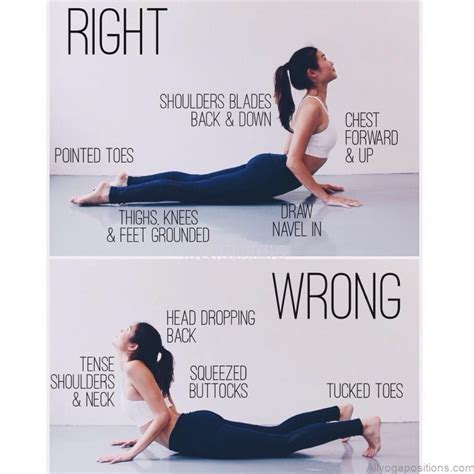 Yoga Practice Beginners How To Cobra Stretch - AllYogaPositions.com