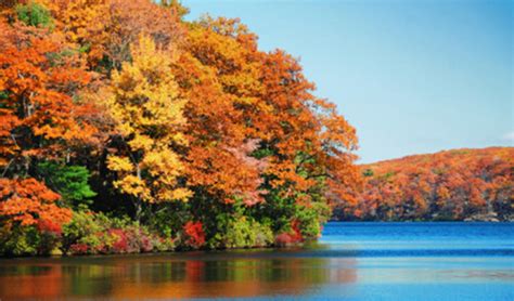 Fall Foliage: 5 Best East Coast Destinations To Catch The Colors - CBS New York