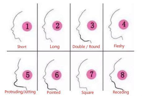 Chin/Jaw Face Reading: Types of Chin Shapes