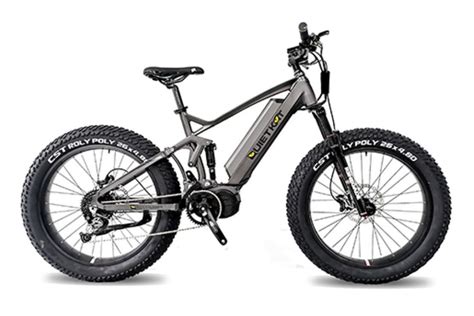 The 6 Best Fat Tire Electric Bikes - Reviews and Ratings for 2020