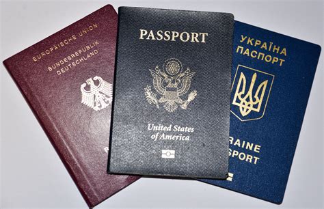 Dual Citizenship in the United States: The Consequences of Reluctant ...