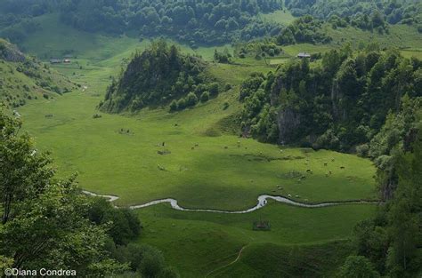 Nature in Romania: Wilderness and Breathtaking Landscapes