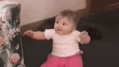 Funny Gif - IceGif