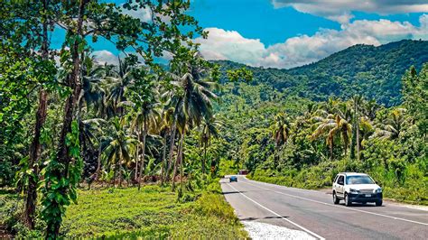 Fern Gully: Natural Attraction in Jamaica | BEACHES