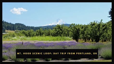 Mt Hood Scenic Loop Road Trip | Wander With Wonder