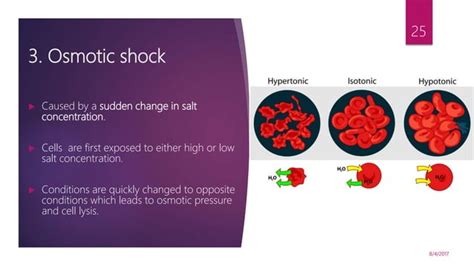 Cell disruption methods | PPT